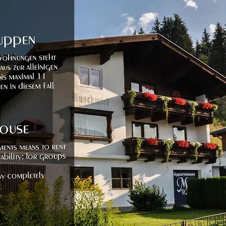 Auschmiede Apartman *
