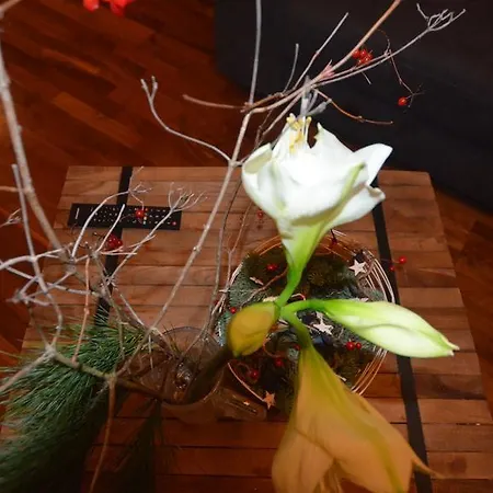 Apartment Auschmiede Hollersbach im Pinzgau